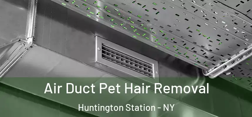  Air Duct Pet Hair Removal Huntington Station - NY
