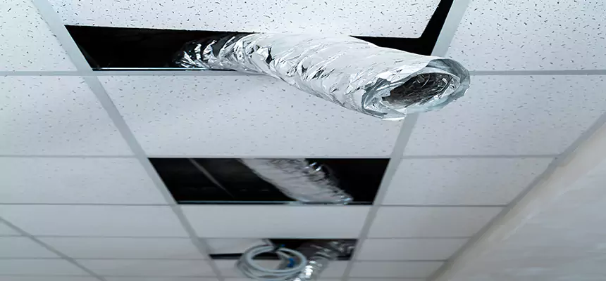 Affordable HVAC Sanitizing After Pest Removal in Huntington Station