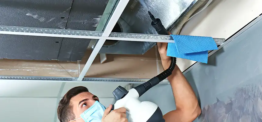 Our Air Duct Rodent Removal Services in Huntington Station, NY