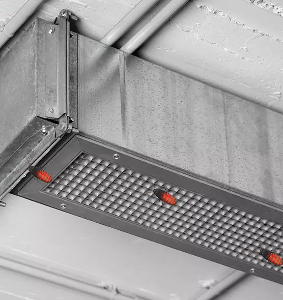 About Air Duct Cockroach Removal in Huntington Station, NY