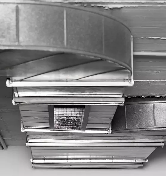 Professional Air Duct Pest Removal in Huntington Station, NY