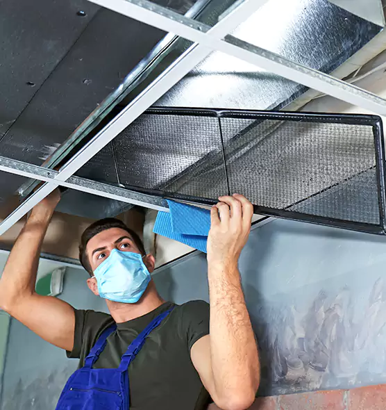Professional Air Duct Pollen Cleaning in Huntington Station, NY