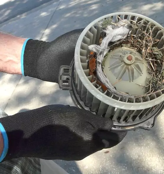 About Air Duct Rat Removal in Huntington Station, NY