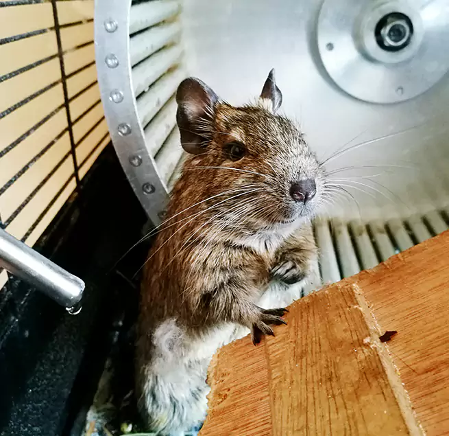 Why Homeowners & Businesses Trust Us Huntington Station, NY?