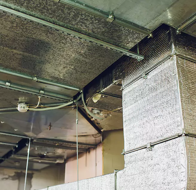 Why Homeowners & Businesses Trust Us in Huntington Station, NY?